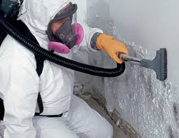 Best Residential Mold Inspection & Testing  in Dublin, OH